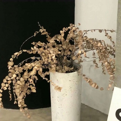 兽设冰川场景绘制FurryQQ群